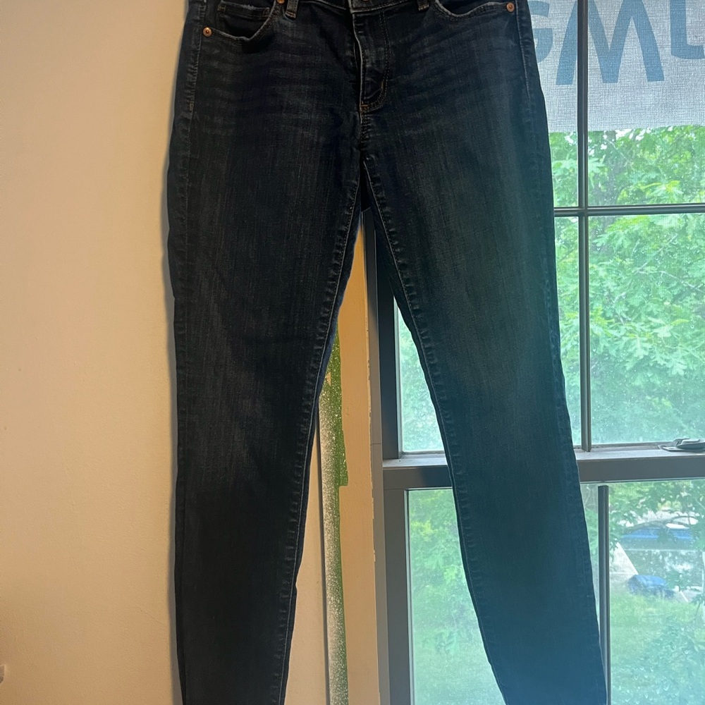 LOFT Blue Skinny Jeans  Style